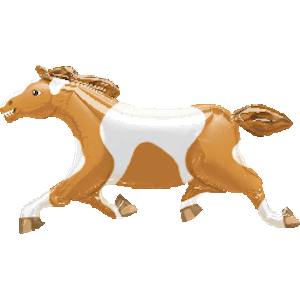 Painted Pony Balloon