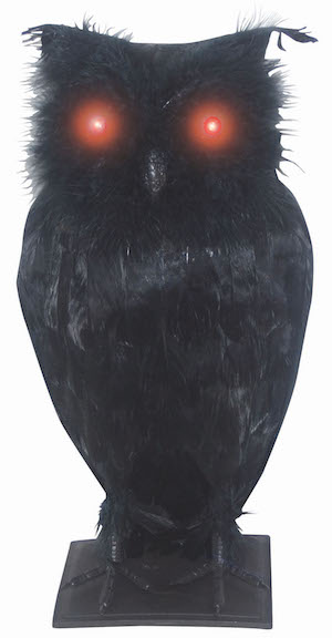 Light Up Black Owl