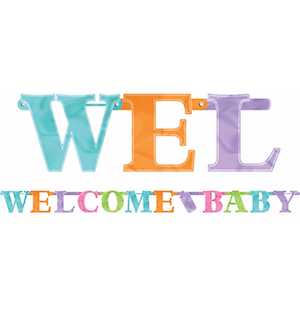 Baby Brights Letter Banner