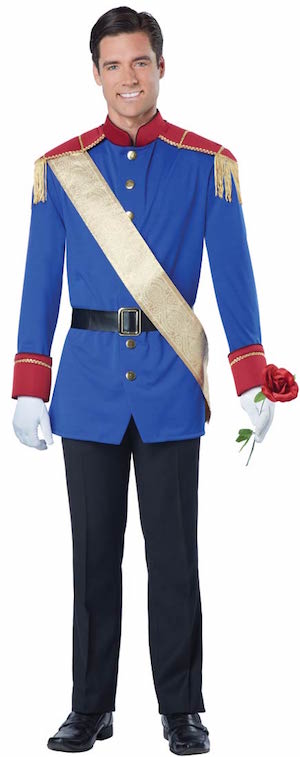 Men Storybook Prince Costume
