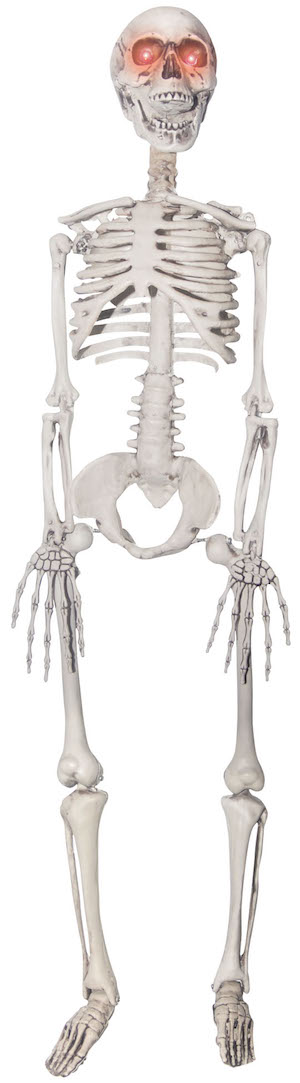 Skeleton with Light Up Eyes